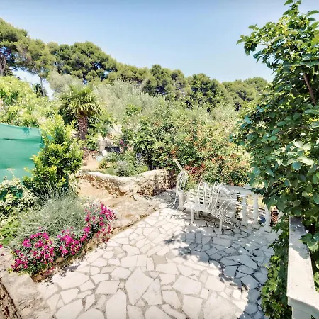 Apartment By The Sea Prvic Luka, Prvic - 12064