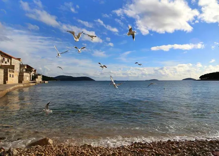 By The Sea Prvic Luka, Prvic - 12064 Appartement *