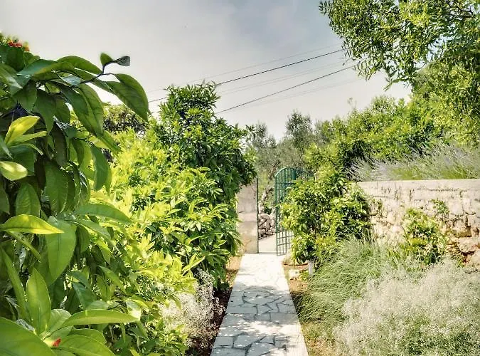 By The Sea Prvic Luka, Prvic - 12064